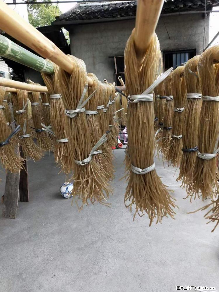 【灌阳正宗红薯粉】美女家里自己做的，干净卫生，假一赔十，价格合理，抢购电话：13737312895 - 美食天地 - 泉州生活社区 - 泉州28生活网 qz.28life.com