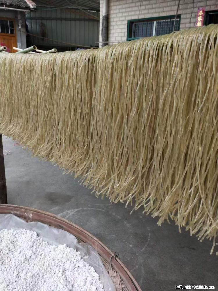 【灌阳正宗红薯粉】美女家里自己做的，干净卫生，假一赔十，价格合理，抢购电话：13737312895 - 美食天地 - 泉州生活社区 - 泉州28生活网 qz.28life.com