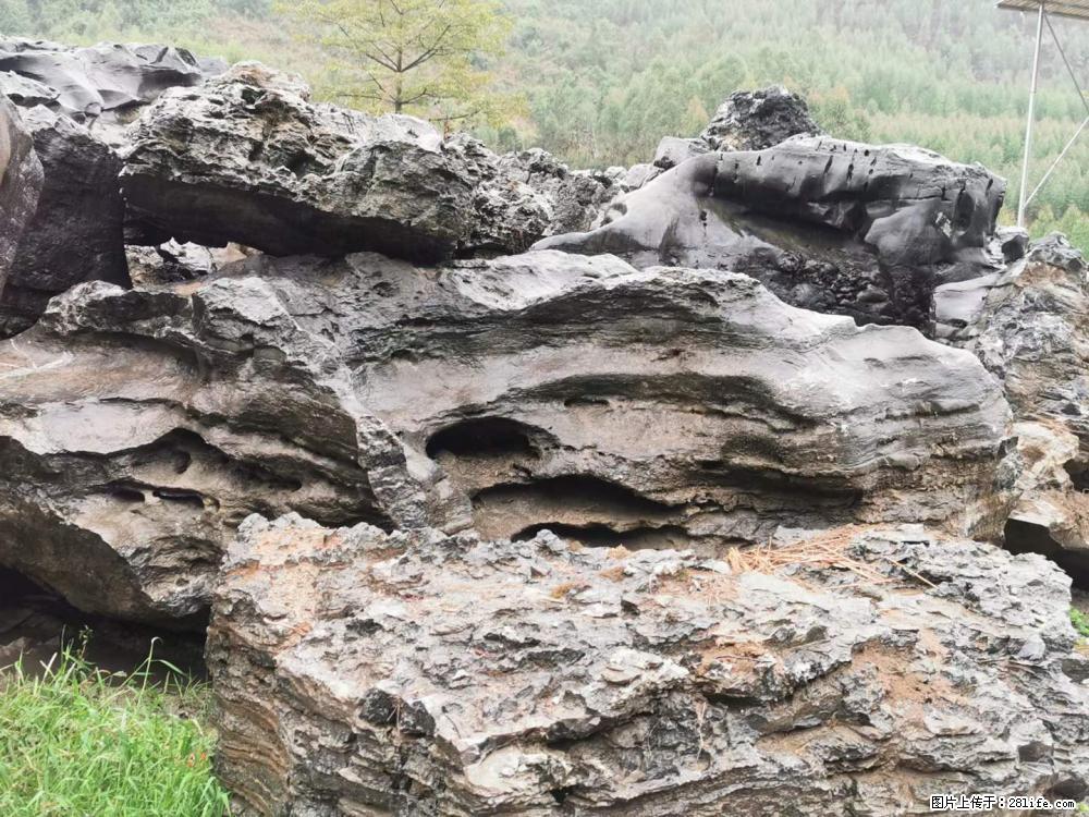 风景石、假山石大量有货,有需要的欢迎联系 - 新手上路 - 泉州生活社区 - 泉州28生活网 qz.28life.com