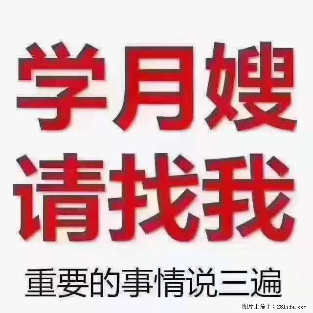 为什么要学习月嫂，育婴师？ - 其他广告 - 广告专区 - 泉州分类信息 - 泉州28生活网 qz.28life.com