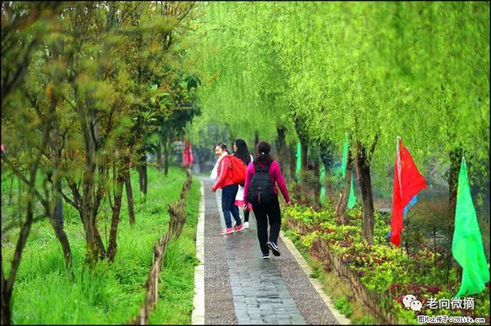 【春天,广西桂林灌阳县向您发出邀请!】江口老街又逢春 - 游山玩水 - 泉州生活社区 - 泉州28生活网 qz.28life.com