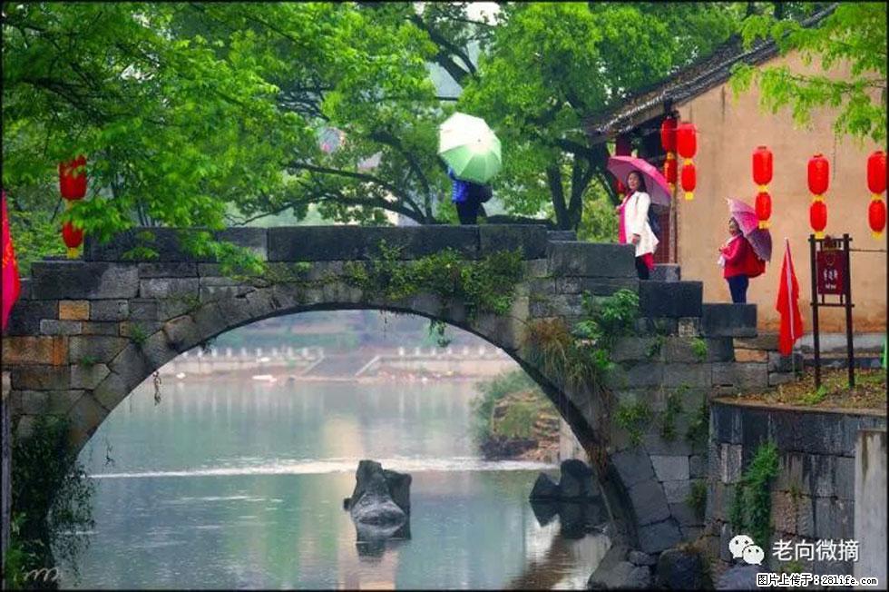 【春天,广西桂林灌阳县向您发出邀请!】江口老街又逢春 - 游山玩水 - 泉州生活社区 - 泉州28生活网 qz.28life.com