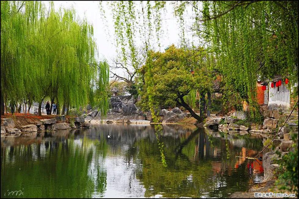【春天,广西桂林灌阳县向您发出邀请!】江口老街又逢春 - 游山玩水 - 泉州生活社区 - 泉州28生活网 qz.28life.com