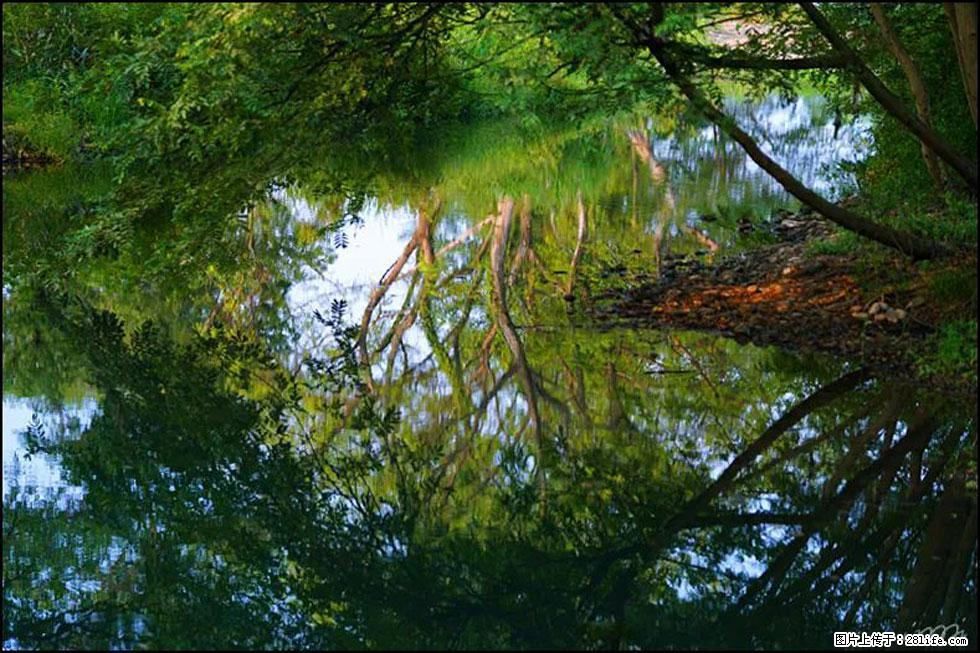 【春天,广西桂林灌阳县向您发出邀请!】熊家寨湿地公园 - 游山玩水 - 泉州生活社区 - 泉州28生活网 qz.28life.com