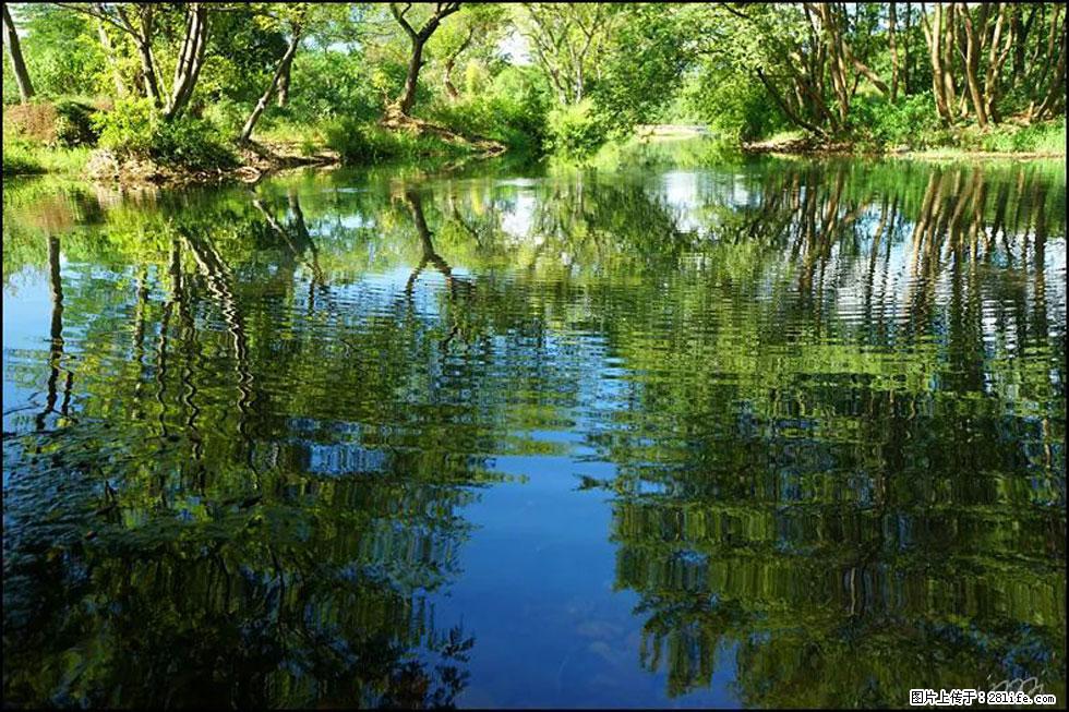 【春天,广西桂林灌阳县向您发出邀请!】熊家寨湿地公园 - 游山玩水 - 泉州生活社区 - 泉州28生活网 qz.28life.com