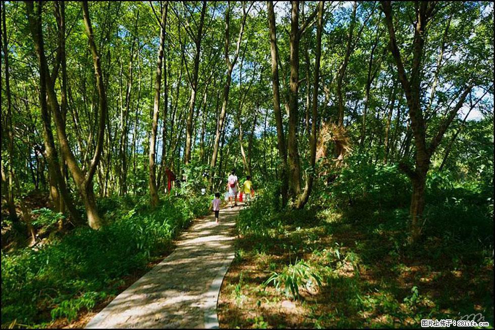 【春天,广西桂林灌阳县向您发出邀请!】熊家寨湿地公园 - 游山玩水 - 泉州生活社区 - 泉州28生活网 qz.28life.com