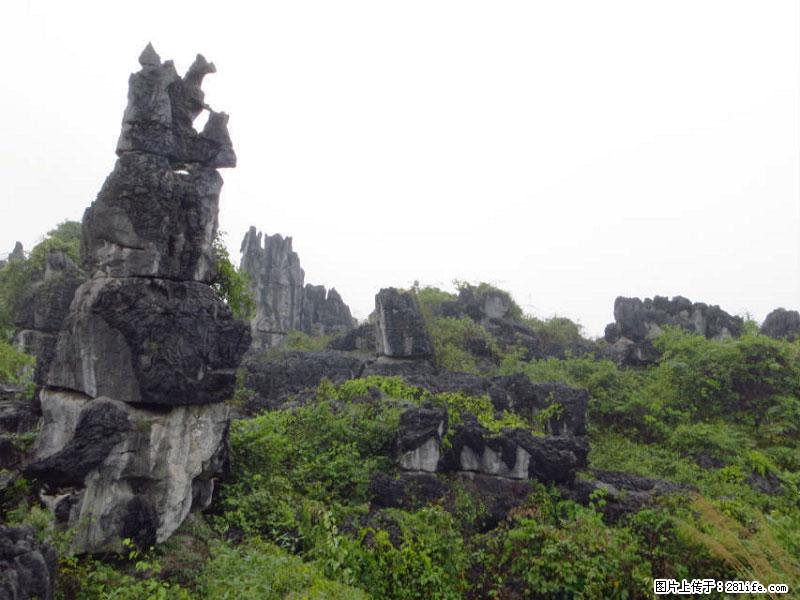 桂林旅游名城景点：灌阳文市石林 - 游山玩水 - 泉州生活社区 - 泉州28生活网 qz.28life.com