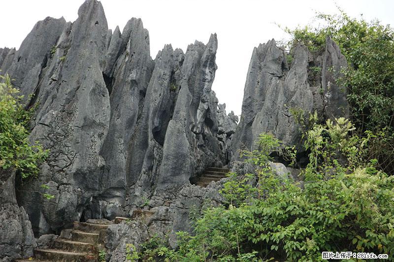 桂林旅游名城景点:灌阳文市石林 - 游山玩水 - 泉州生活社区 - 泉州28生活网 qz.28life.com