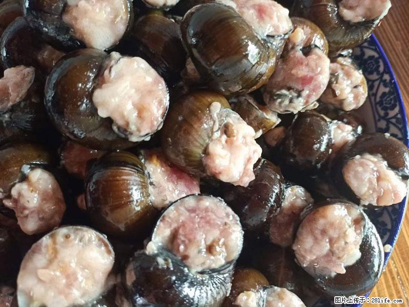（舌尖上的乡村）灌阳：让人口齿留香的田螺酿 - 2023年07月31日 桂林日报第6版刊发 - 美食天地 - 泉州生活社区 - 泉州28生活网 qz.28life.com