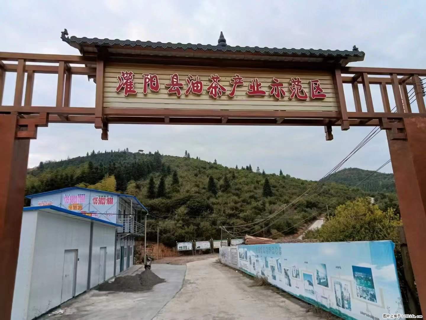 【灌阳县油茶产业示范区】一个有着充实的精神生活的人,对待身外之物自会有一种淡泊的态度 - 美食天地 - 泉州生活社区 - 泉州28生活网 qz.28life.com