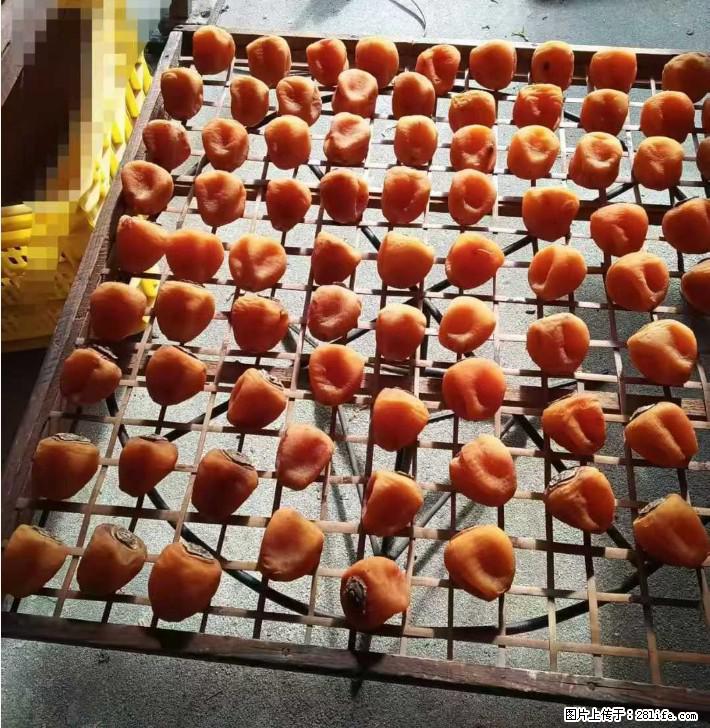 广西桂林平乐桥亭【柿饼之乡】2025年纯手工制作、无任何添加剂的第一批柿饼准备上市了，欢迎联系订购！ - 美食天地 - 泉州生活社区 - 泉州28生活网 qz.28life.com