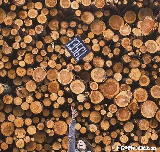 辞掉工作周游世界?现在他们在洗厕所…… - 游山玩水 - 泉州生活社区 - 泉州28生活网 qz.28life.com