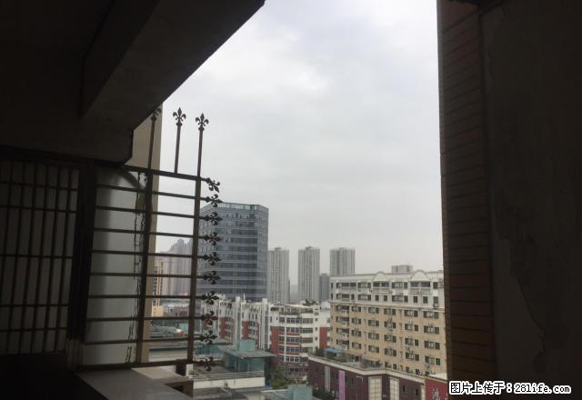 阳光丽景单身公寓1600元,拎包入住家电齐全交通便利,电梯房 - 房屋出租 - 房屋租售 - 泉州分类信息 - 泉州28生活网 qz.28life.com
