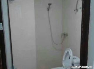 万祥单身公寓只要500元,齐全,押一付一。精装齐全。 - 泉州28生活网 qz.28life.com