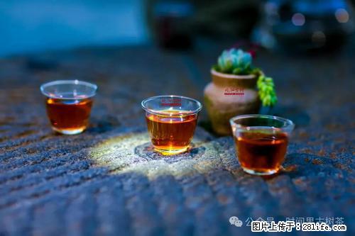 时间果百年古树2025年春红茶 - 购物交流 - 泉州生活社区 - 泉州28生活网 qz.28life.com