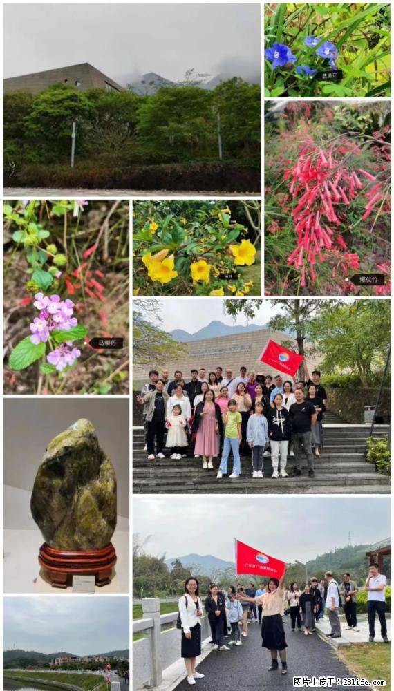 “粤灌文化 美好生活”油茶文化主题活动在广东深圳成功举办 - 泉州生活资讯 - 泉州28生活网 qz.28life.com