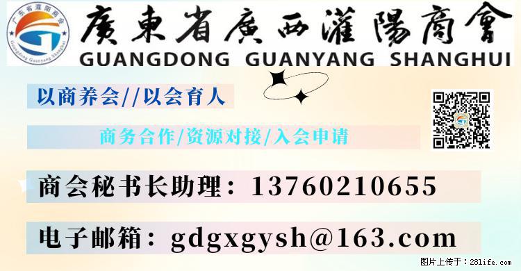 “粤灌文化 美好生活”油茶文化主题活动在广东深圳成功举办 - 泉州生活资讯 - 泉州28生活网 qz.28life.com