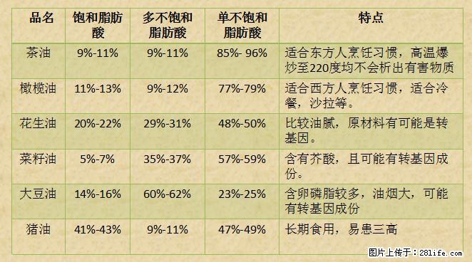揭秘茶油的5大核心营养成分!被称为人体健康的“守护盾”! - 泉州生活资讯 - 泉州28生活网 qz.28life.com