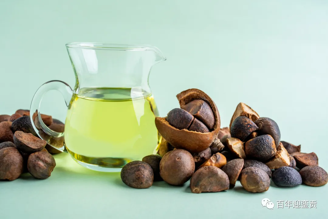 世界没有真相，只有认知，最好的食用油是中国的山茶油！ - 泉州生活资讯 - 泉州28生活网 qz.28life.com