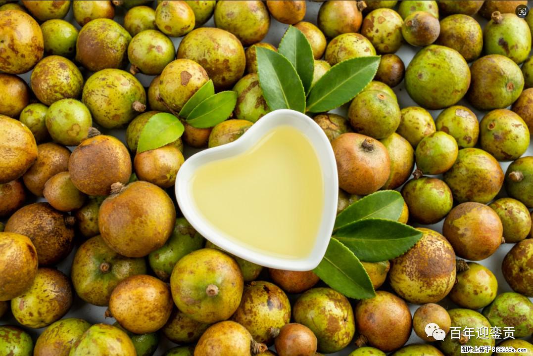 世界没有真相，只有认知，最好的食用油是中国的山茶油！ - 泉州生活资讯 - 泉州28生活网 qz.28life.com