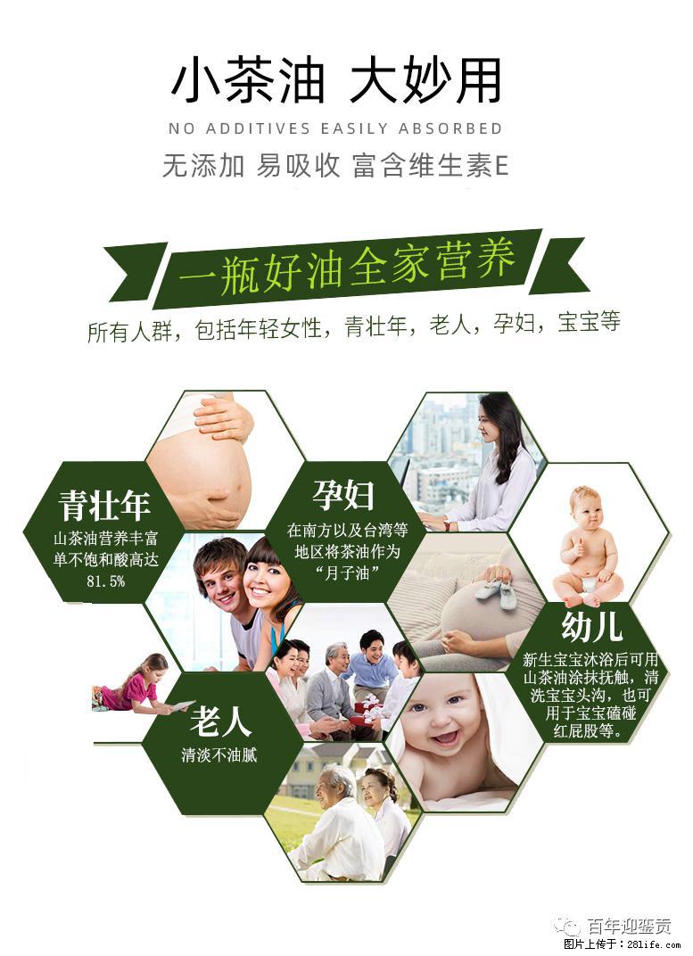 世界没有真相，只有认知，最好的食用油是中国的山茶油！ - 泉州生活资讯 - 泉州28生活网 qz.28life.com