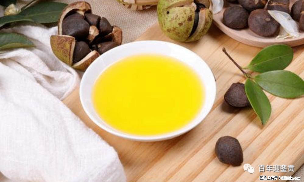 世界没有真相，只有认知，最好的食用油是中国的山茶油！ - 泉州生活资讯 - 泉州28生活网 qz.28life.com