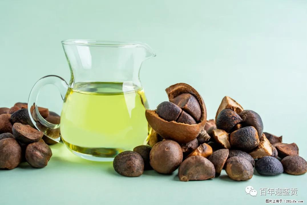 世界没有真相，只有认知，最好的食用油是中国的山茶油！ - 泉州生活资讯 - 泉州28生活网 qz.28life.com