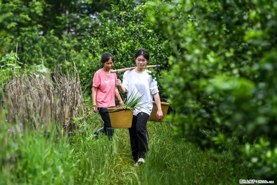 全网追的“扁担女孩”，找了一份暑假工，时薪12元 - 泉州生活资讯 - 泉州28生活网 qz.28life.com