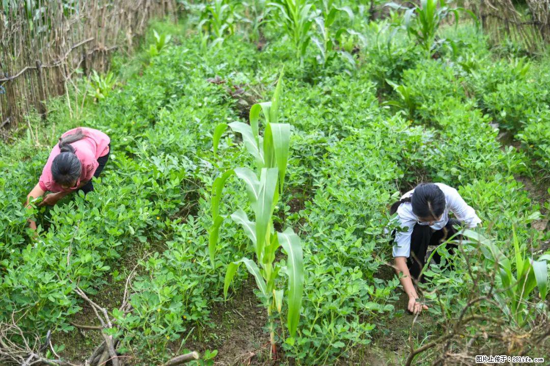 全网追的“扁担女孩”，找了一份暑假工，时薪12元 - 泉州生活资讯 - 泉州28生活网 qz.28life.com