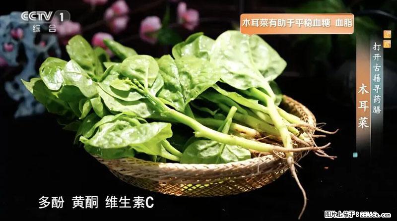比牛奶补钙还厉害！凉血解毒、稳血糖...这菜冬天必吃，很多人却当草 - 泉州生活资讯 - 泉州28生活网 qz.28life.com