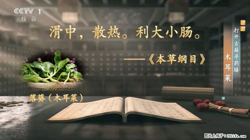 比牛奶补钙还厉害！凉血解毒、稳血糖...这菜冬天必吃，很多人却当草 - 泉州生活资讯 - 泉州28生活网 qz.28life.com