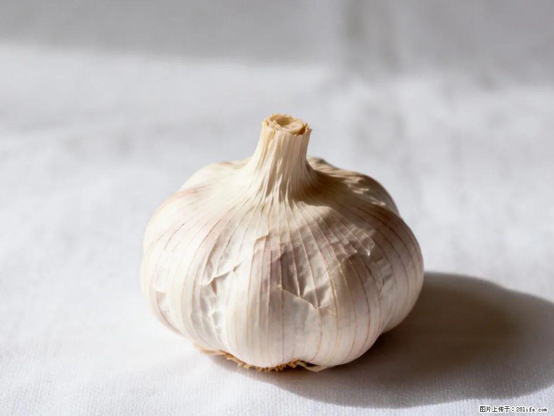 关于大蒜，除了“天然抗生素”，这4个谣言更该警惕! - 泉州生活资讯 - 泉州28生活网 qz.28life.com