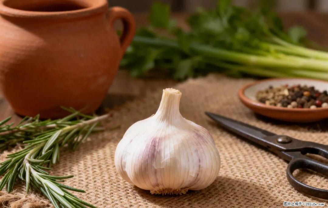 关于大蒜，除了“天然抗生素”，这4个谣言更该警惕! - 泉州生活资讯 - 泉州28生活网 qz.28life.com