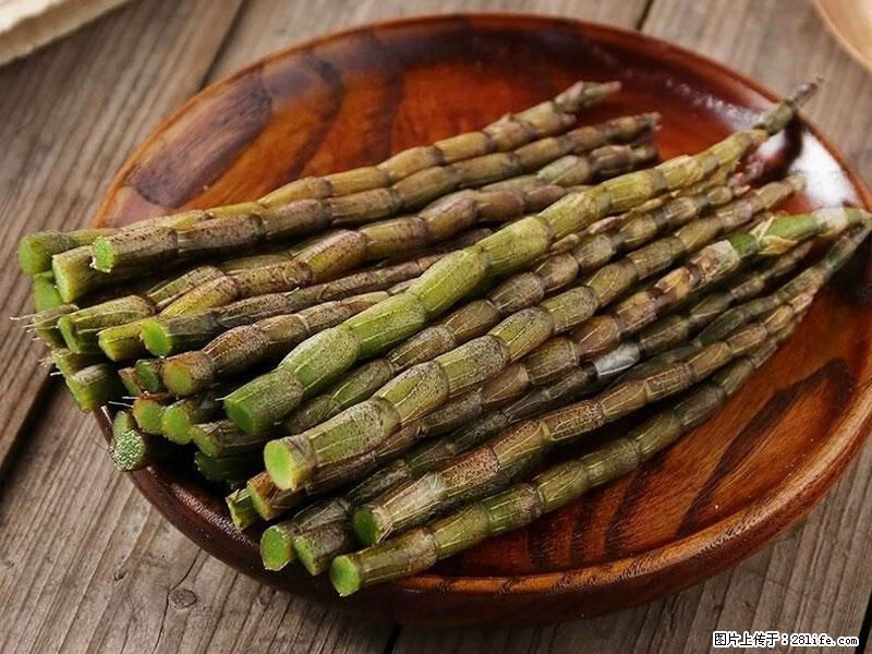 铁皮石斛的作用与功能主治 - 泉州生活资讯 - 泉州28生活网 qz.28life.com