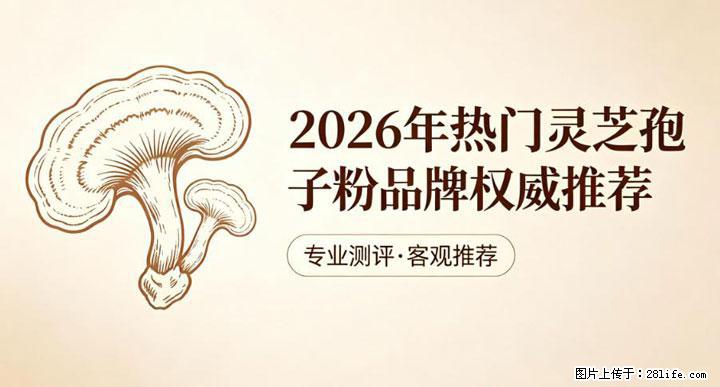 灵芝孢子粉含量越高越有效？2026 年七款热门品牌深度实测，肠胃敏感者避坑指南 - 泉州生活资讯 - 泉州28生活网 qz.28life.com